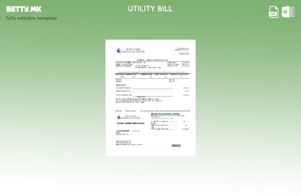 Модерен стил на САД Мериленд Американски шаблон за сметки за вода за комунални у